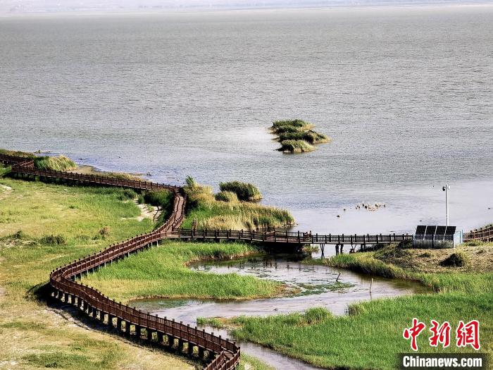 圖為都蘭湖國家濕地公園觀光棧道?！∑钤鲚?攝