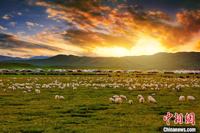 資料圖為青海省玉樹(shù)州稱多縣草原風(fēng)光?！」?攝