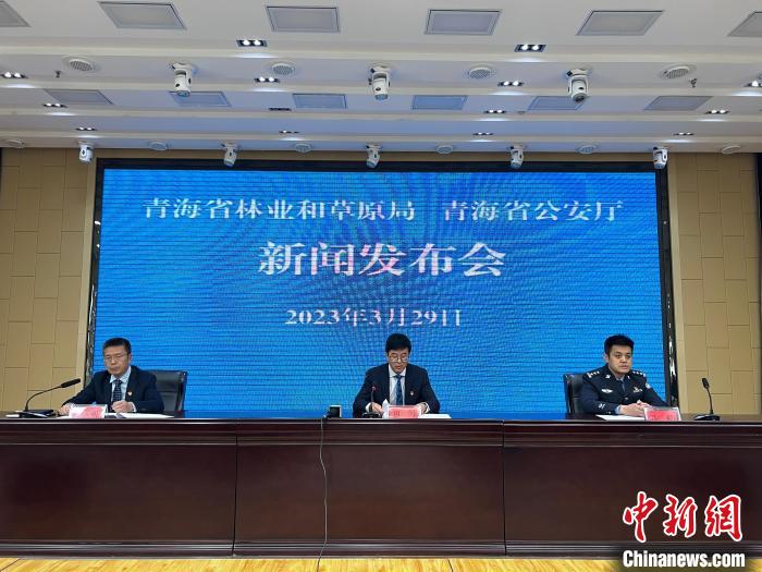 青海去年占用林地、草地準(zhǔn)予許可件同比實(shí)現(xiàn)“雙減”