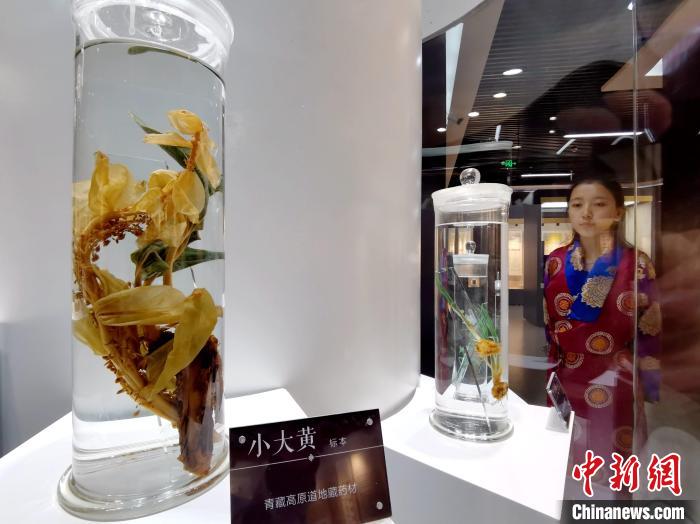 青海中藏醫(yī)藥發(fā)展提速：建設一批重點?？茖W科，推廣一批適宜技術