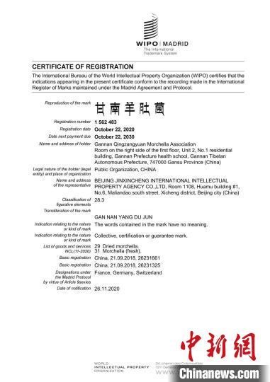 圖為“甘南羊肚菌”國際商標(biāo)注冊證書。(資料圖) 甘南州市場監(jiān)管局供圖