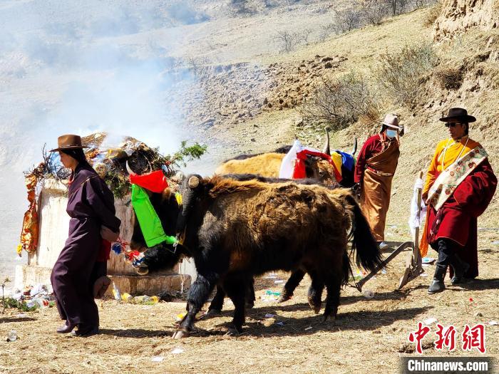 圖為春耕儀式現(xiàn)場。　王麗山 供圖