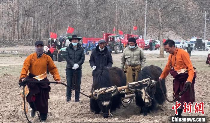 圖為活動現(xiàn)場當(dāng)?shù)厝罕娬故緜鹘y(tǒng)春耕方式?！±罱瓕?攝