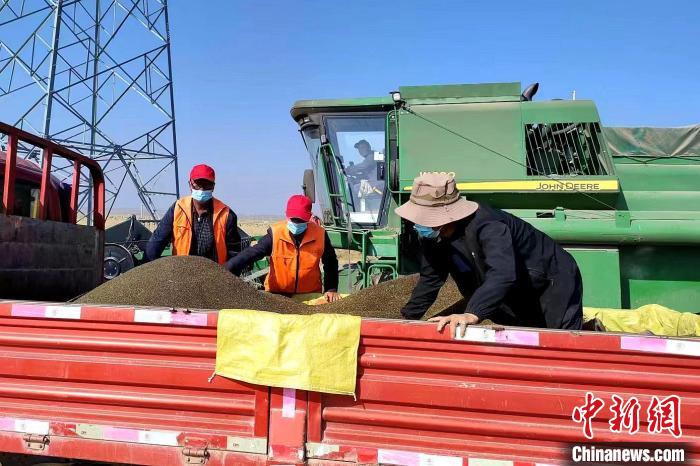 圖為合作社工作人員準備播種。(資料圖) 張海蓮 攝