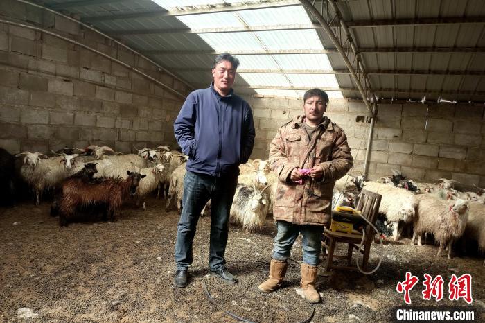 圖為華公太(左)走訪牧民生產(chǎn)生活情況?！〔彭検步?攝