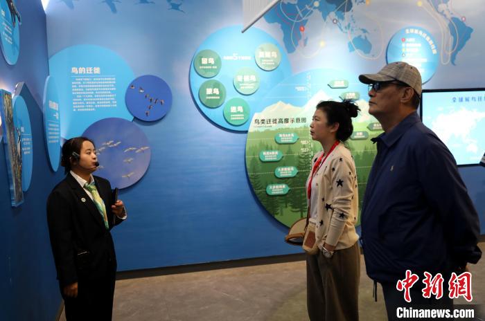 圖為臺商在祁連山國家公園生態(tài)科普館內(nèi)聆聽講解?！⊙Φ?攝