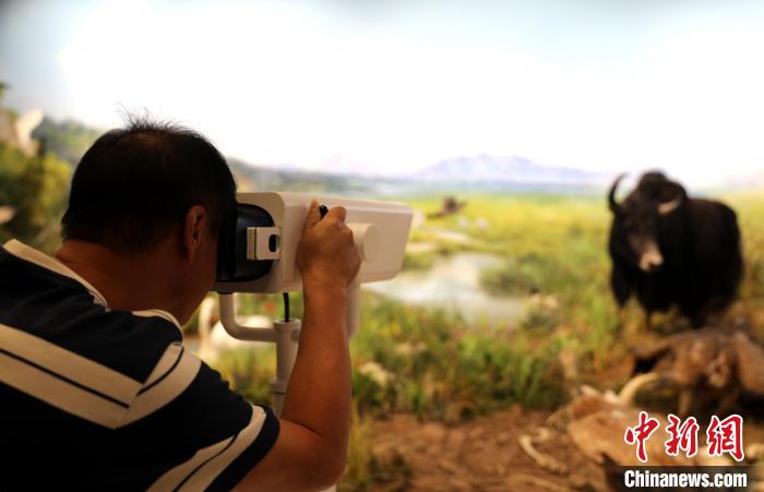 圖為臺商觀看祁連山國家公園生態(tài)科普館內(nèi)生態(tài)場景?！⊙Φ?攝