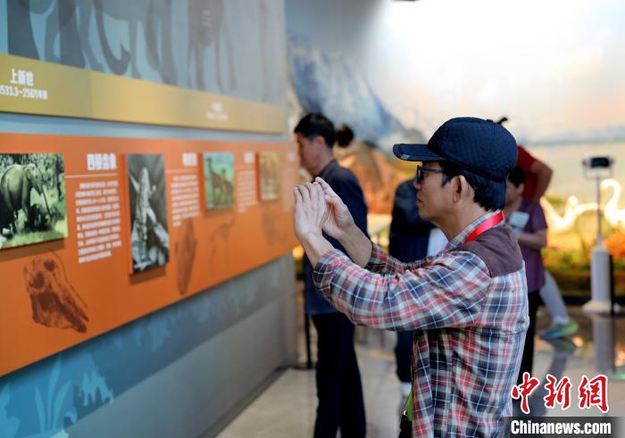 圖為臺商在祁連山國家公園生態(tài)科普館觀看墻面藝術(shù)圖文?！⊙Φ?攝