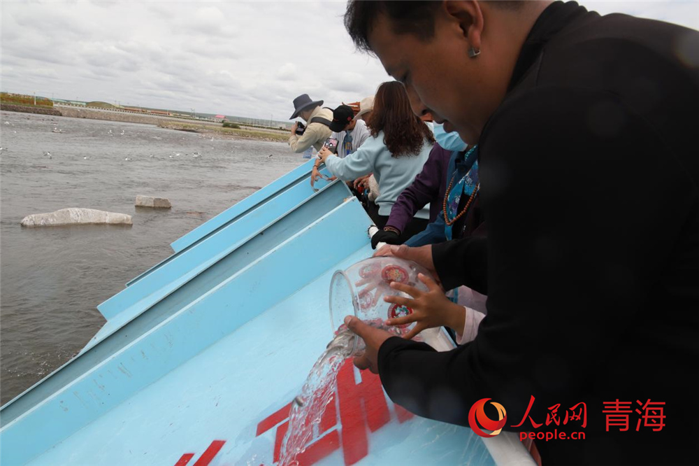 群眾放流青海湖裸鯉。人民網 陳明菊攝
