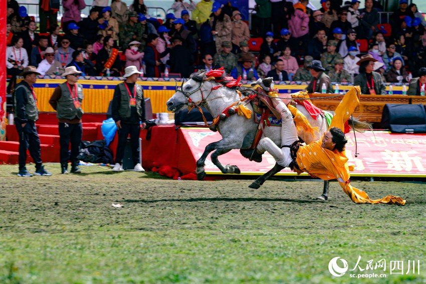 馬術表演現(xiàn)場。洛絨尼瑪攝