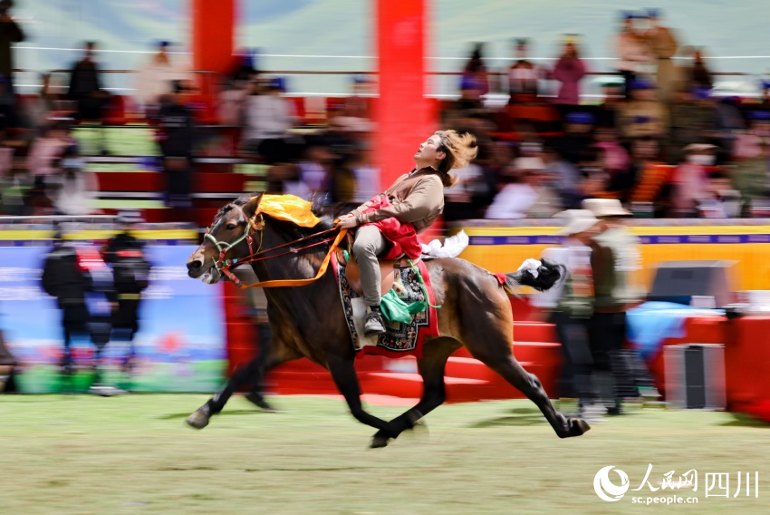 馬術表演現(xiàn)場。洛絨尼瑪攝