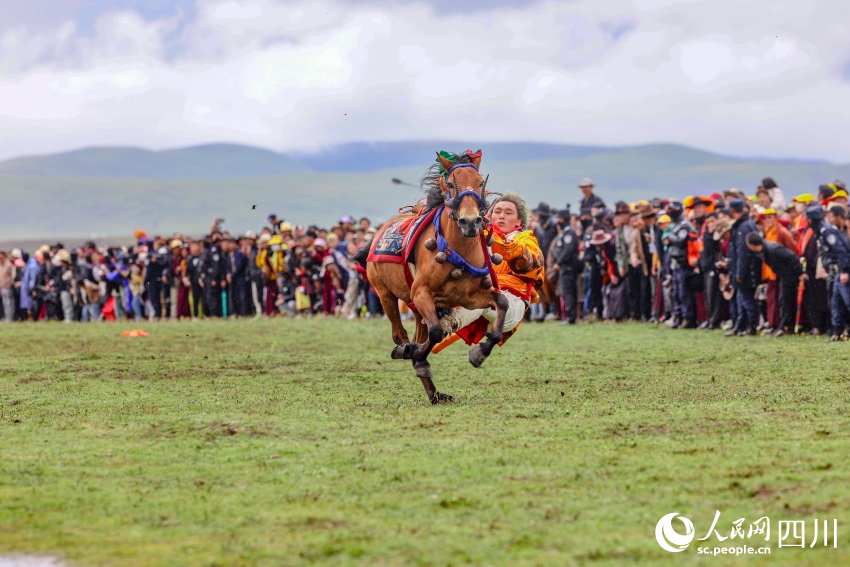 馬術表演現(xiàn)場。洛絨尼瑪攝