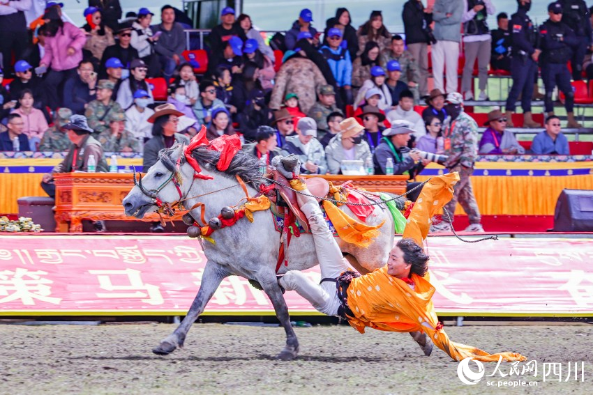 馬術表演現(xiàn)場。洛絨尼瑪攝