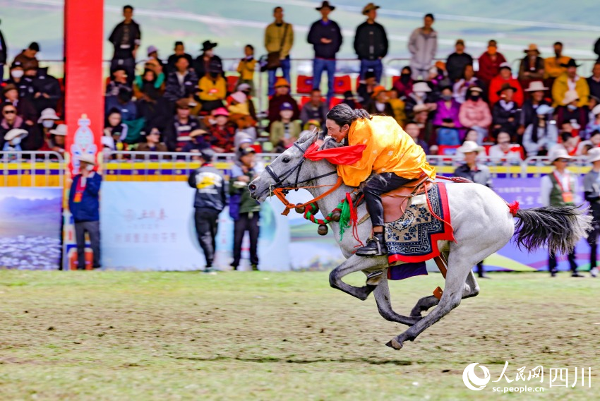馬術表演現(xiàn)場。洛絨尼瑪攝