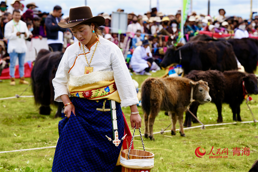 擠牦牛奶大賽。人民網(wǎng) 陳明菊攝