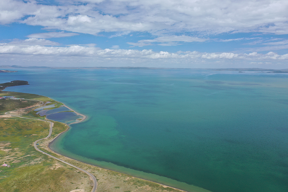 大自然的生態(tài)美學(xué)！黃河源園區(qū)哪一抹色彩最讓你心動？