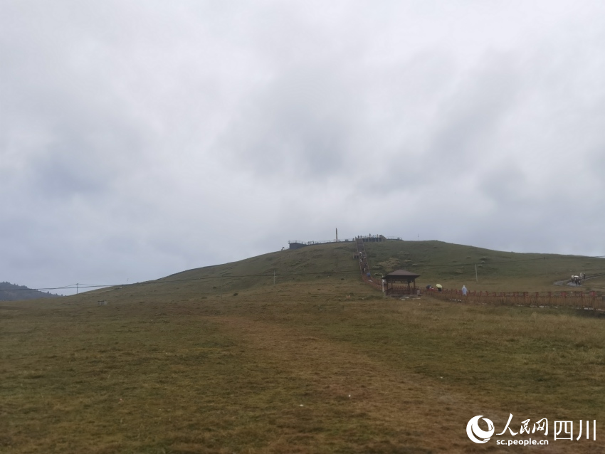甘孜州塔公草原。人民網(wǎng)記者 王洪江攝