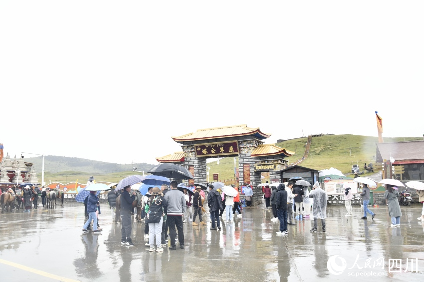 甘孜州塔公草原。人民網(wǎng)記者 王洪江攝