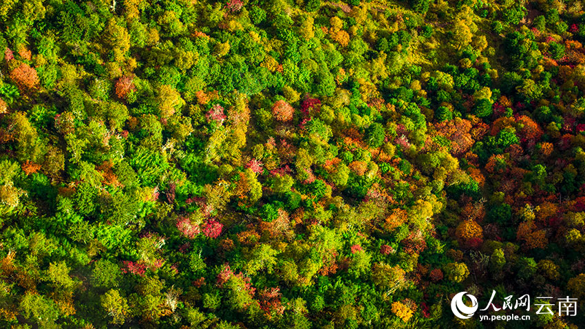 秋日普達(dá)措。格瑪攝