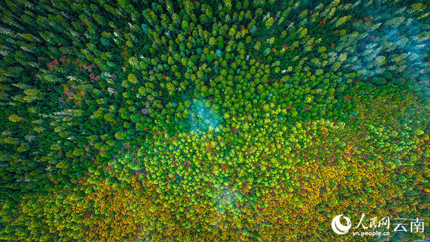 秋日普達(dá)措。格瑪攝