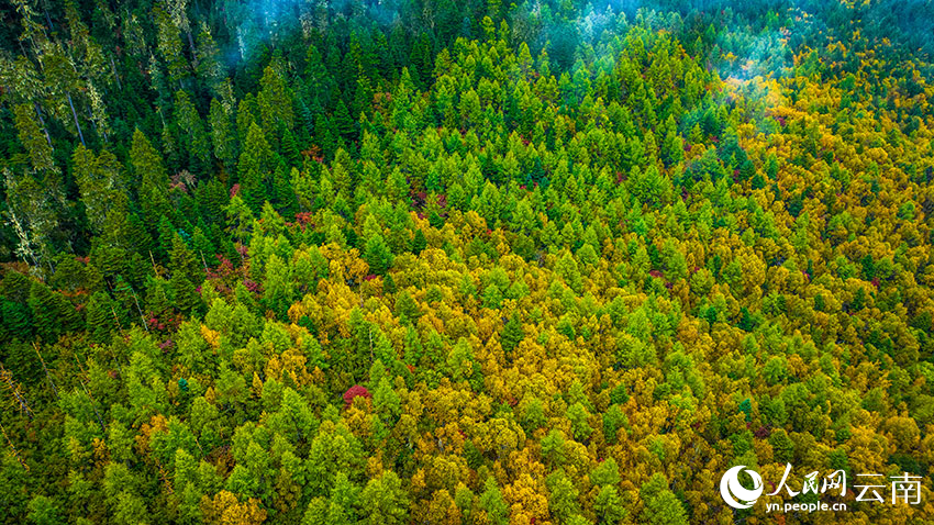 秋日普達(dá)措。格瑪攝
