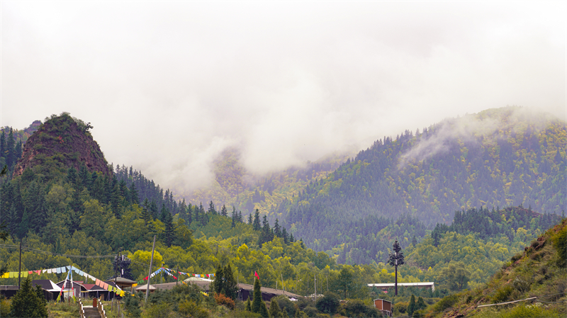 秋韻坎布拉。羊格東智攝