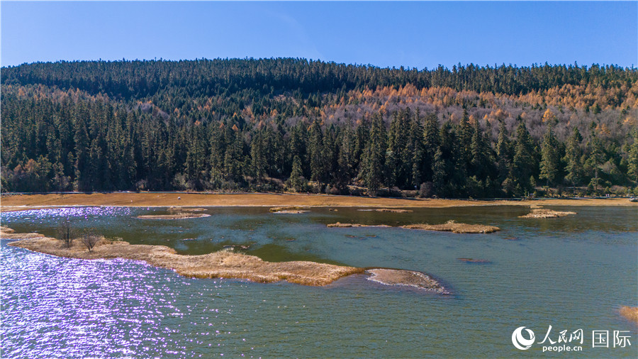 屬都湖畔，層林盡染。人民網(wǎng)記者 虎遵會(huì)攝
