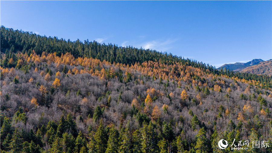 香格里拉國家公園一角。人民網(wǎng)記者 虎遵會(huì)攝