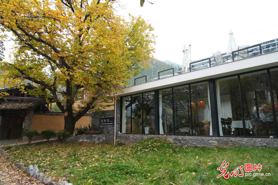 【世界的香格里拉】民宿經(jīng)濟為鄉(xiāng)村振興注入新活力