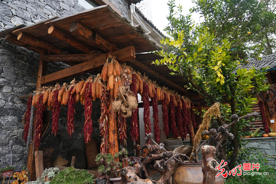 【世界的香格里拉】民宿經(jīng)濟為鄉(xiāng)村振興注入新活力