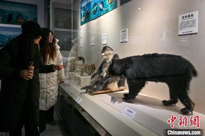 錯(cuò)峰游迪慶:博物館成寶藏打卡地