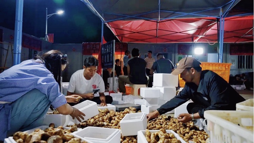 直播現(xiàn)場。雅江外宣供圖