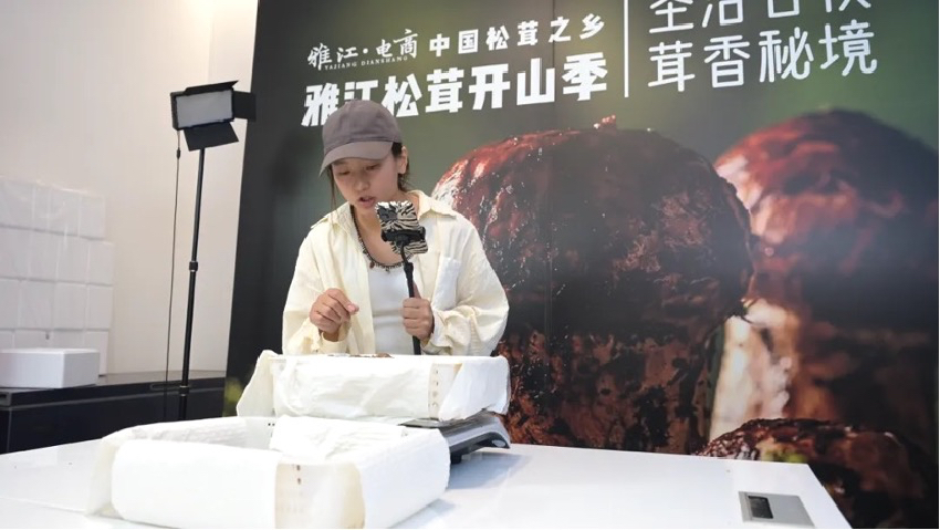 直播現(xiàn)場。雅江外宣供圖