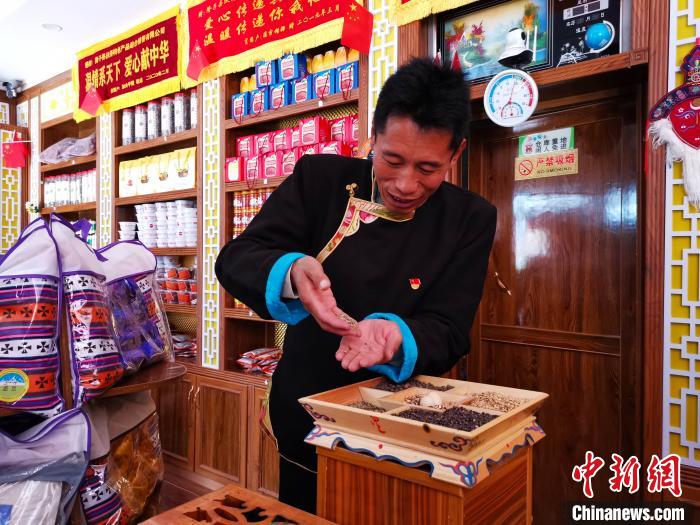 圖為洛桑旦增介紹青稞的功效?！垈?攝