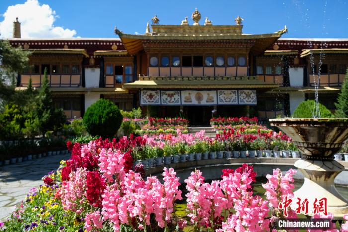 圖為夏日羅布林卡(資料圖)。趙朗攝