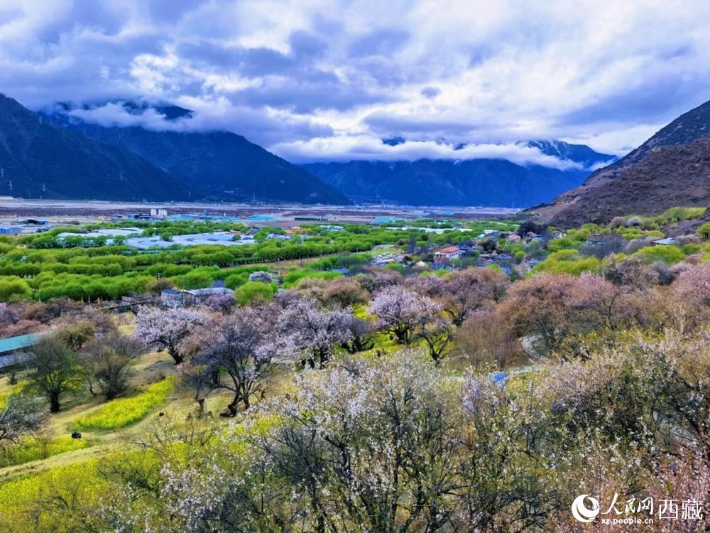 桃花從中的“童話小鎮(zhèn)”。人民網(wǎng) 李海霞攝