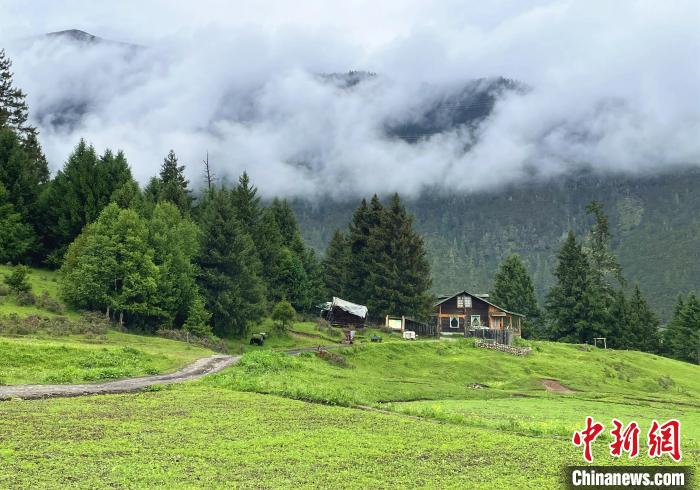 6月10日，魯朗小鎮(zhèn)高山牧場景區(qū)風(fēng)光?！∪轿木?攝
