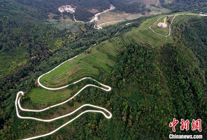 圖為西藏林芝市墨脫縣背崩鄉(xiāng)格林村山頂?shù)木坝^茶園。(無人機(jī)照片) 李林 攝