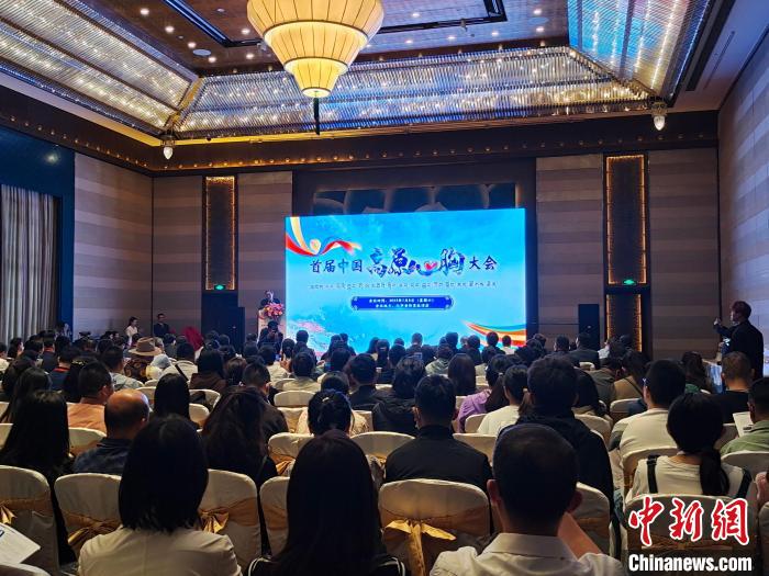 圖為首屆中國(guó)高原心胸大會(huì)現(xiàn)場(chǎng)?！☆D旦旺姆 攝