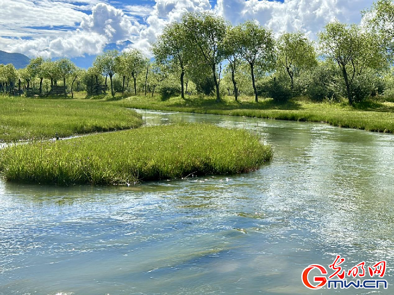 我們的家園丨【組圖】 綠水青山入畫(huà)，“金山銀山”筑起