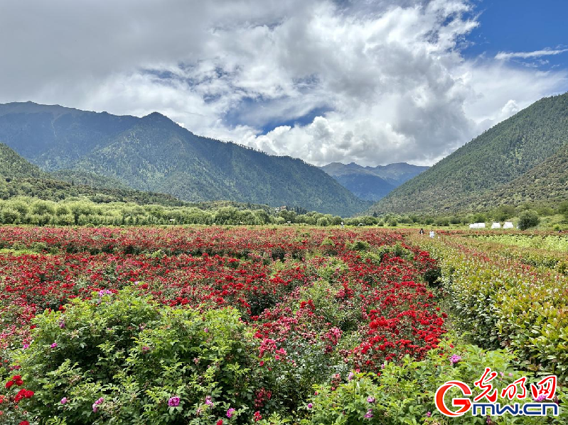 我們的家園丨【組圖】 綠水青山入畫(huà)，“金山銀山”筑起