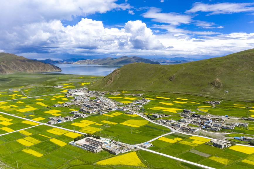 航拍道布龍村，依山傍水，阡陌縱橫。