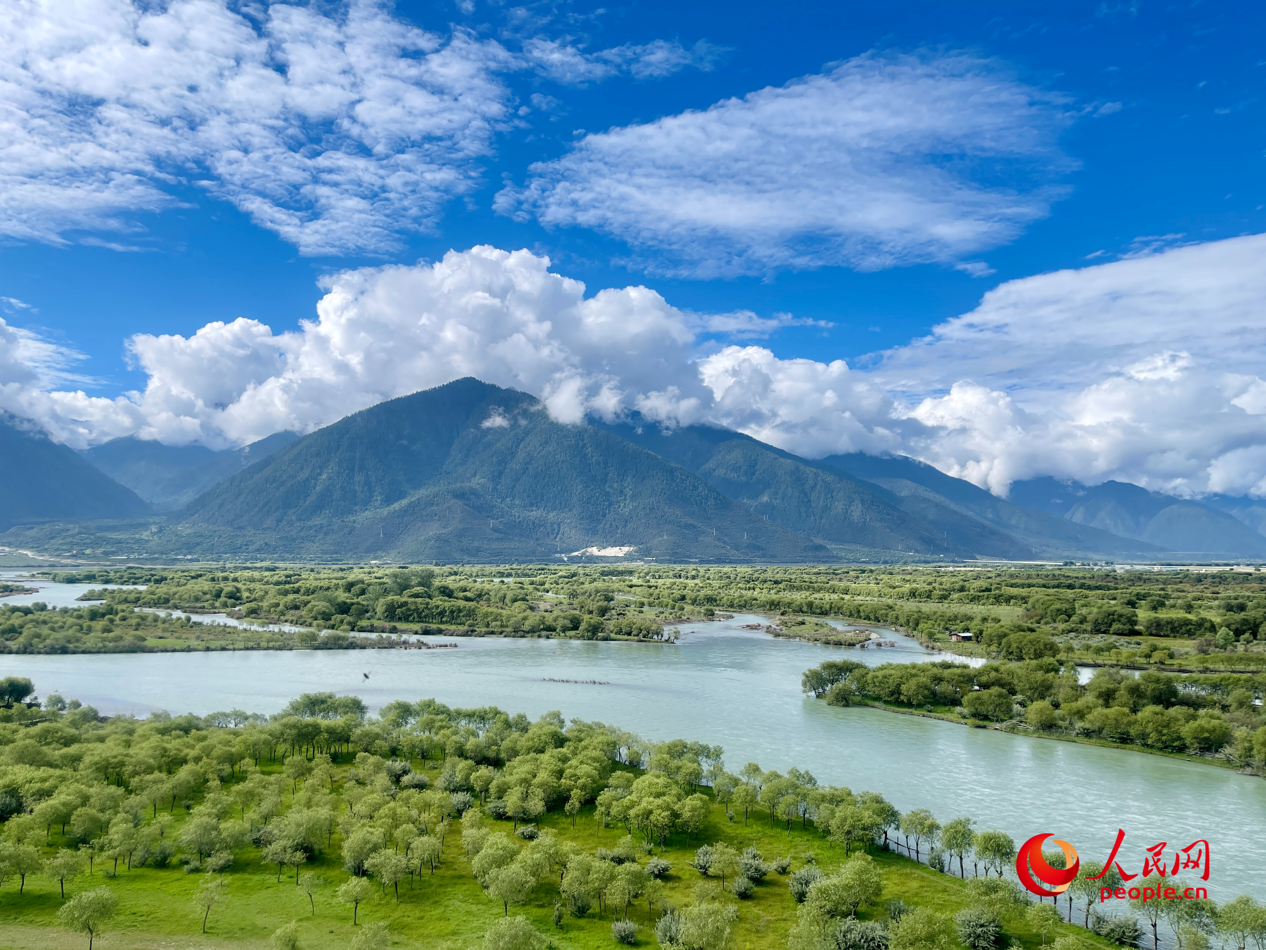 夏日的雅尼國家濕地公園生機(jī)盎然，如詩如畫。人民網(wǎng) 周靜圓攝