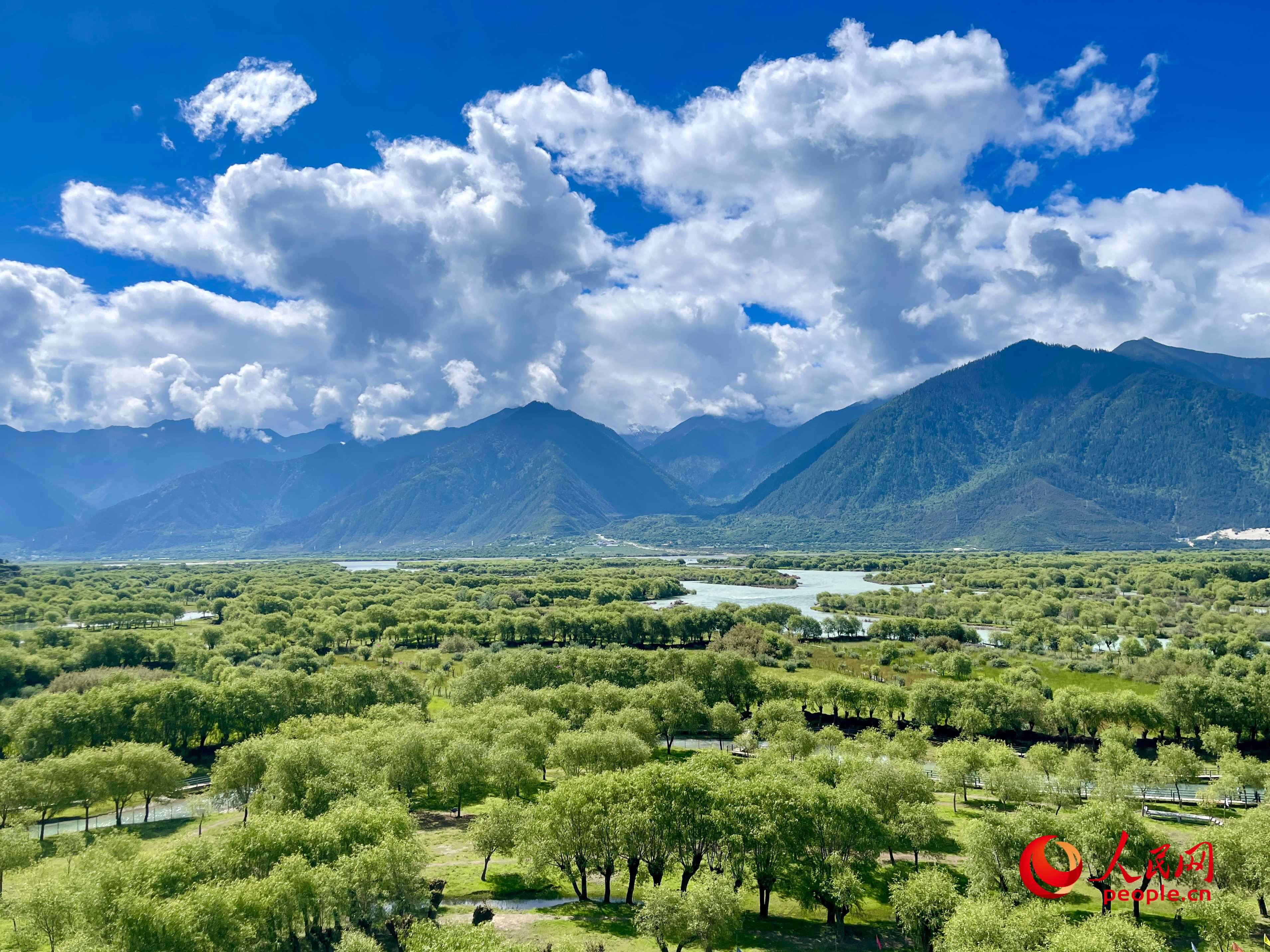 夏日的雅尼國家濕地公園生機(jī)盎然，如詩如畫。人民網(wǎng) 周靜圓攝