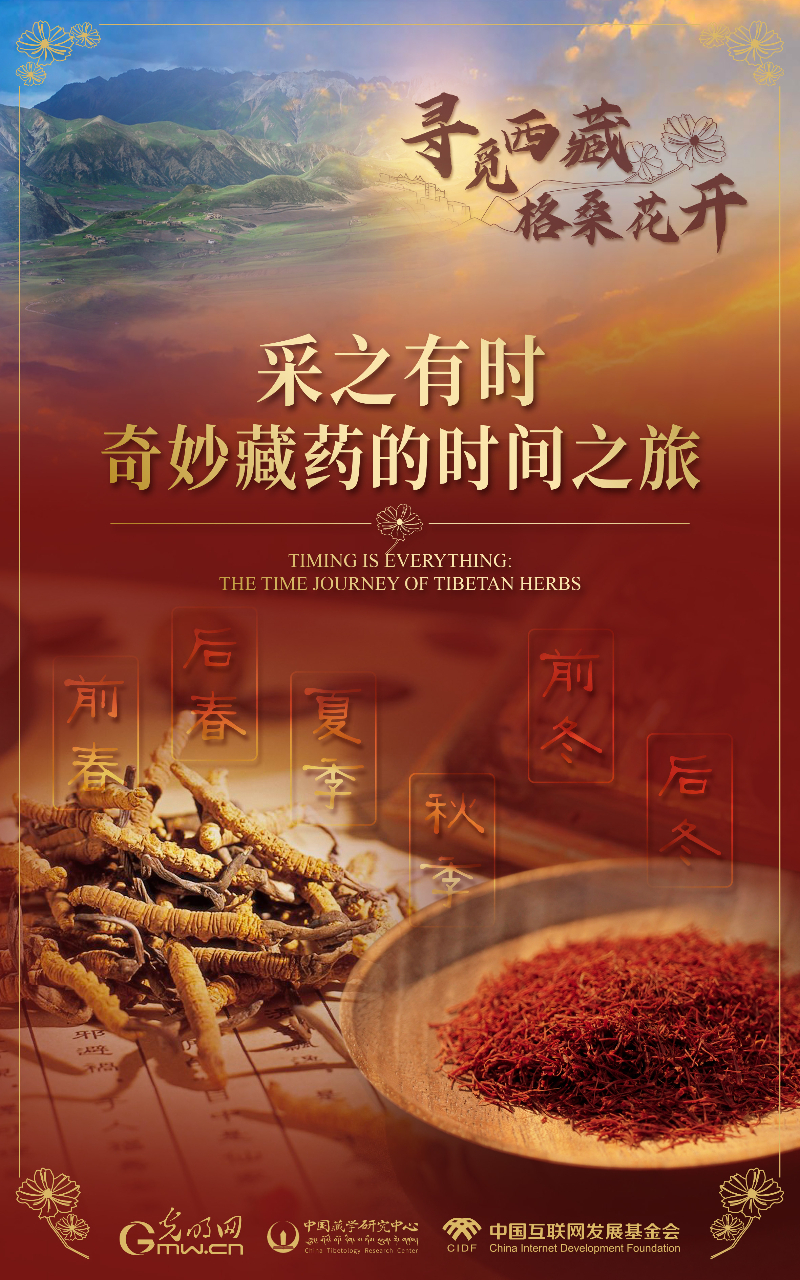 【尋覓西藏·格?；ㄩ_】采之有時：奇妙藏藥的時間之旅