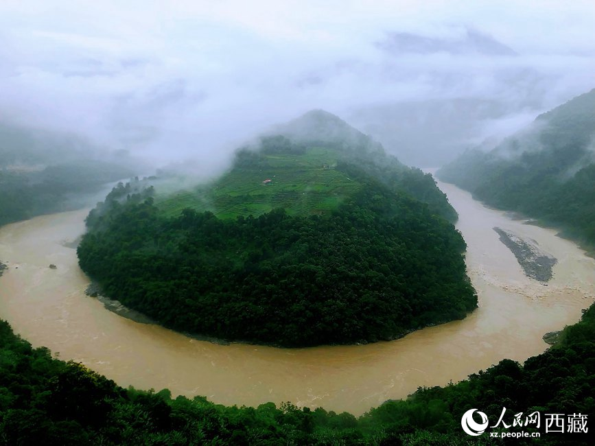 雅魯藏布江大峽谷蛇形拐彎處，山坡上種滿茶樹。