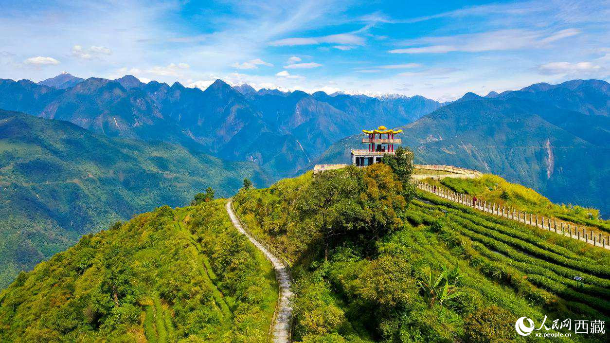 無人機航拍墨脫縣格林村蓮花觀景臺。人民網(wǎng)記者 次仁羅布攝