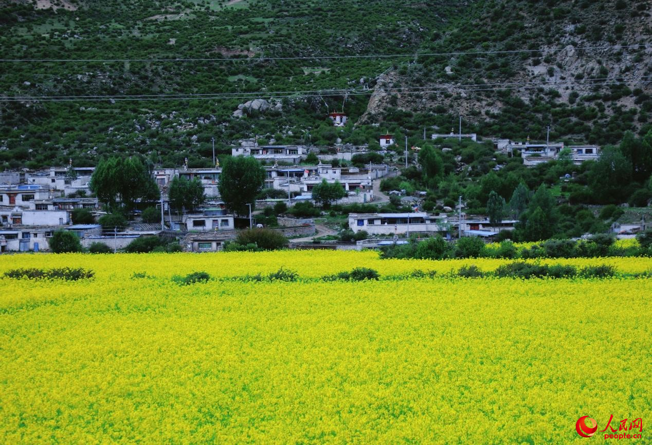 鄉(xiāng)村振興美好畫(huà)卷。人民網(wǎng) 李海霞攝