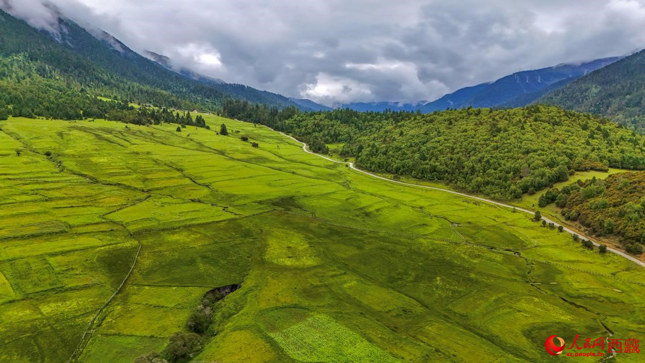 圖為航拍高山牧場鳥瞰圖。人民網(wǎng)記者 次仁羅布攝