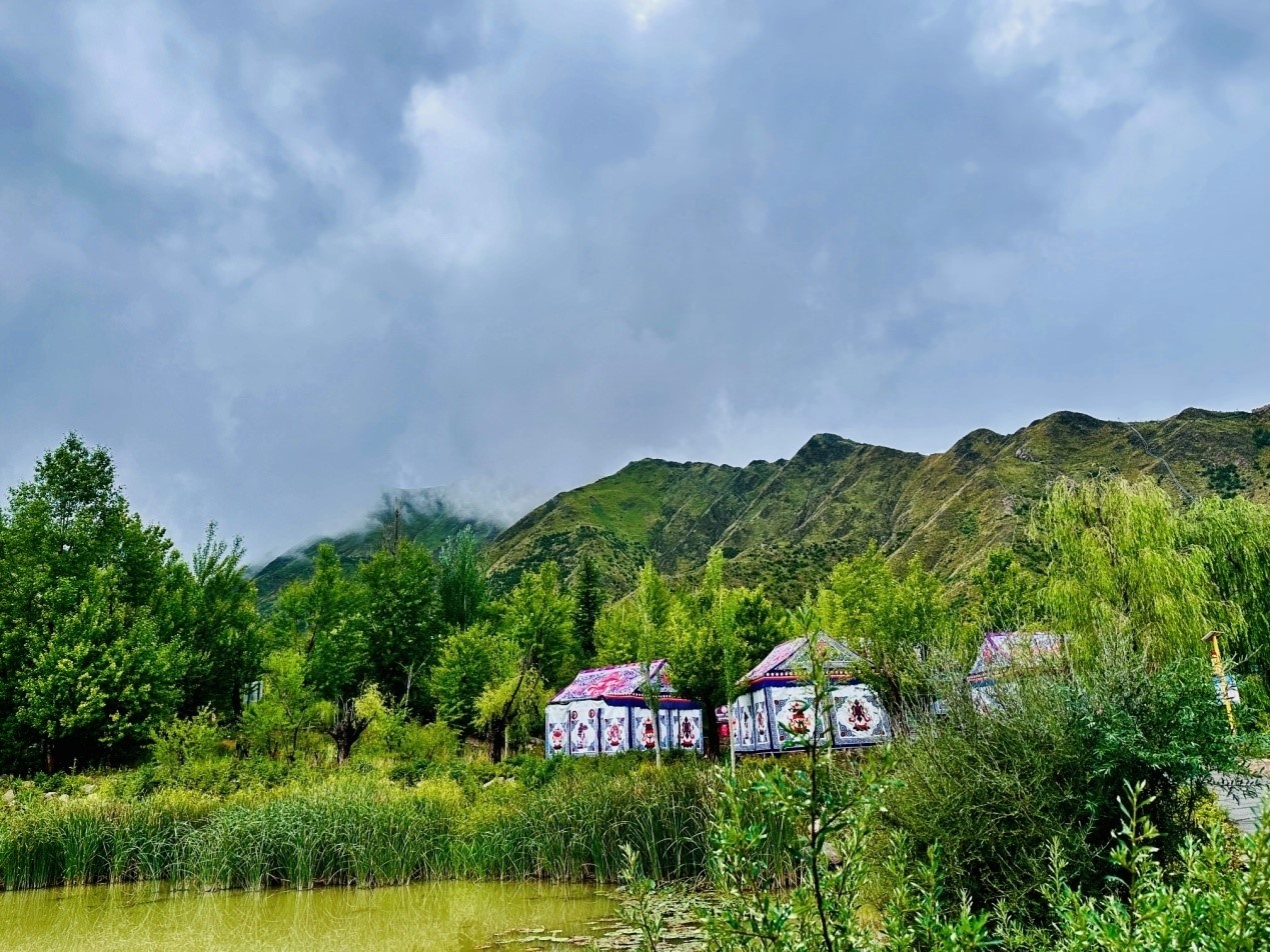 郁郁蔥蔥的南山公園。人民網(wǎng)記者 益西康珠攝
